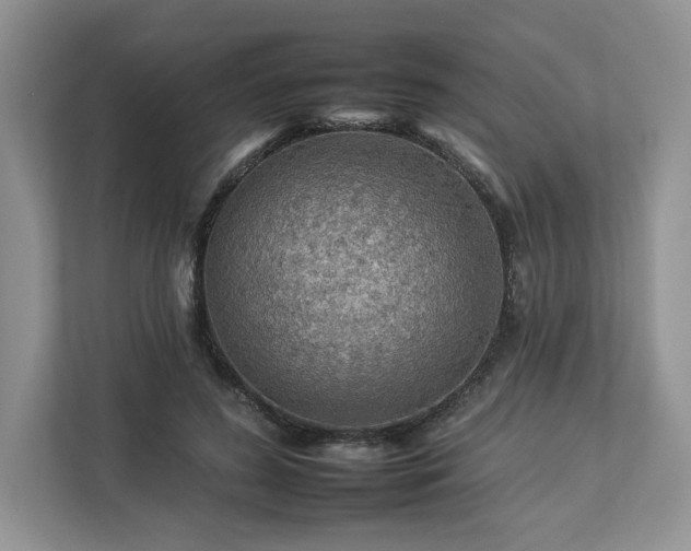 X0000112930596200908241302