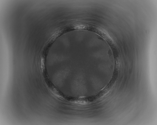 X0000112930598200908241302