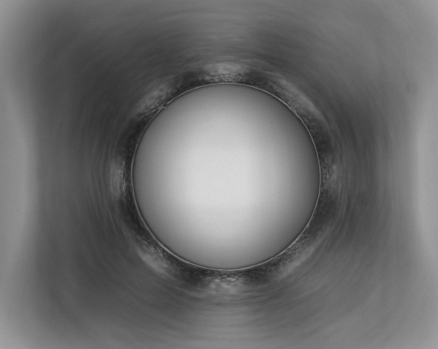 X0000112930599200908241302