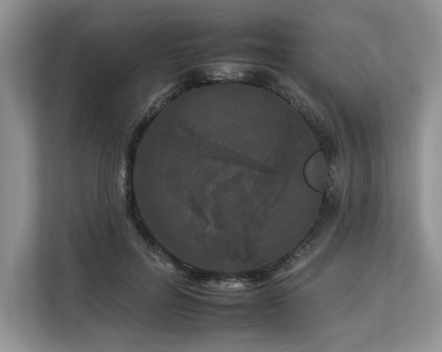 X0000112930600200908241302