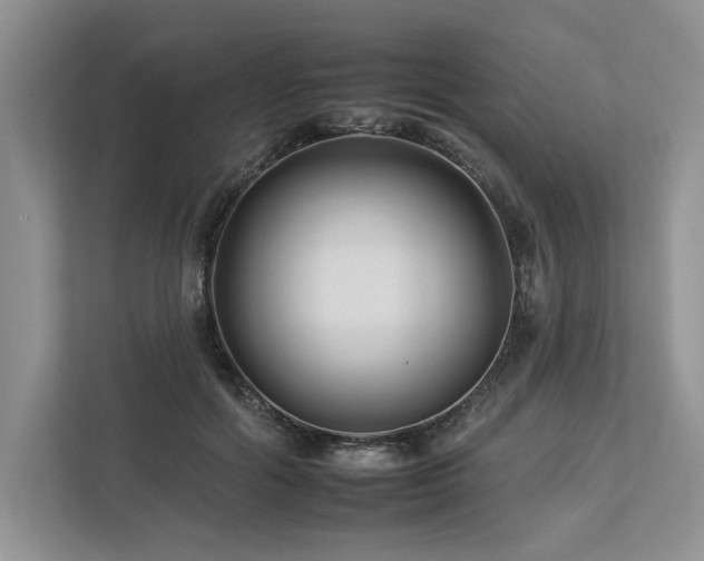 X0000112930602200908241302