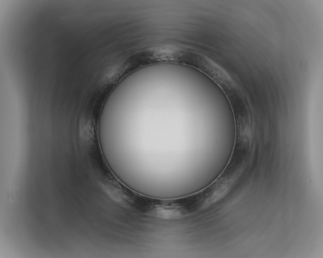 X0000112930603200908241302