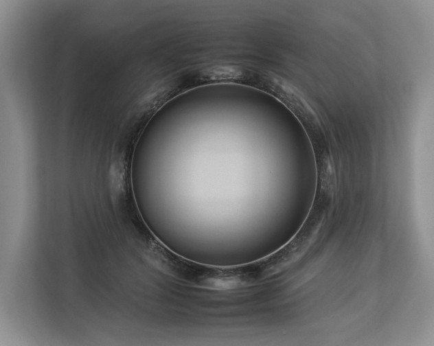 X0000112930604200908241302