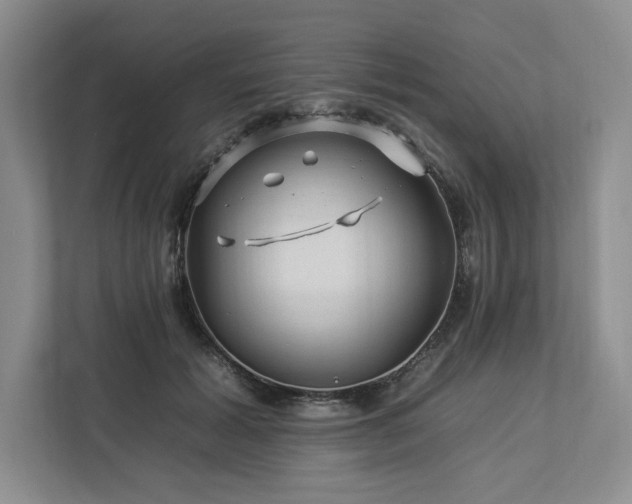 X0000112930605200908241302