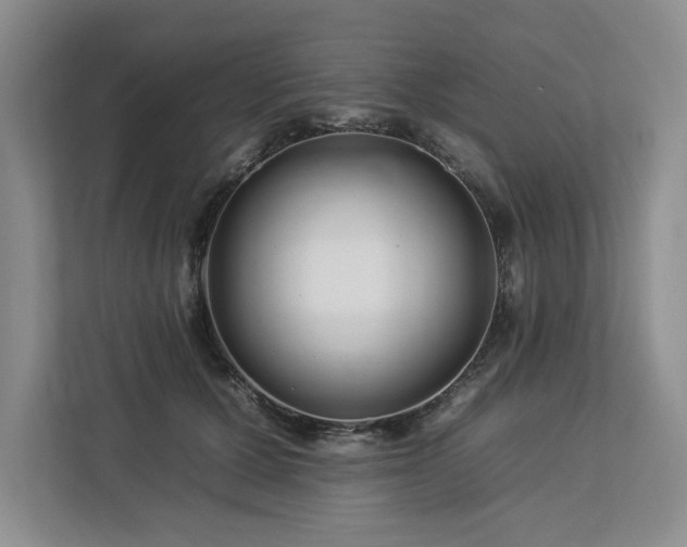 X0000112930607200908241302