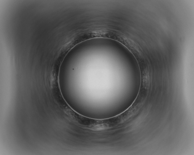 X0000112930608200908241302