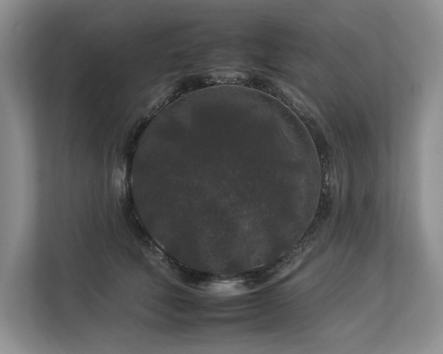 X0000112930610200908241302