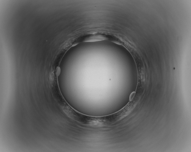 X0000112930611200908241302