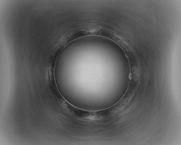 X0000112930612200908241302