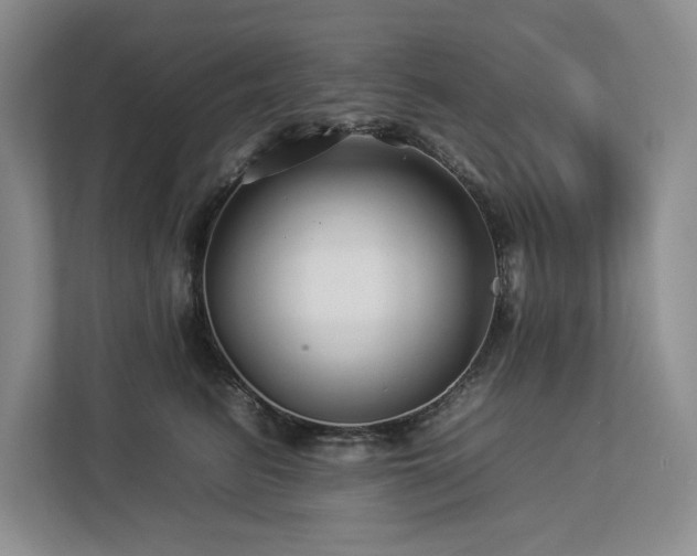 X0000112930615200908241301