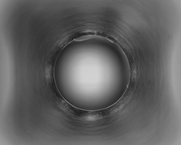 X0000112930616200908241301