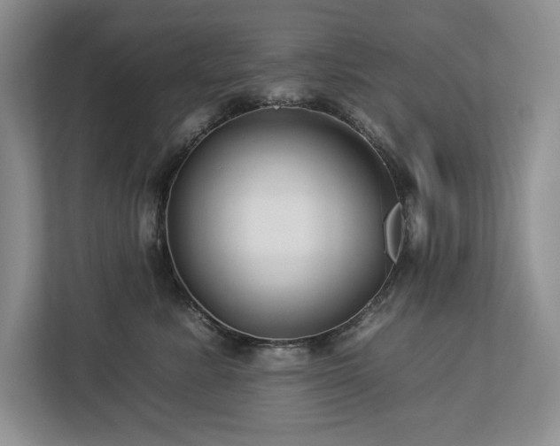 X0000112930619200908241301