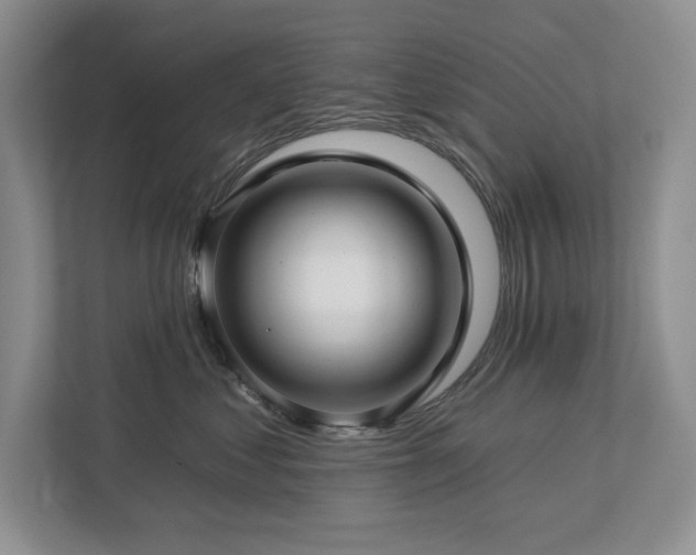 X0000112930621200908241301