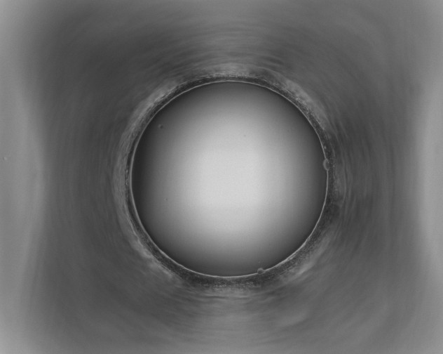 X0000112930625200908241301