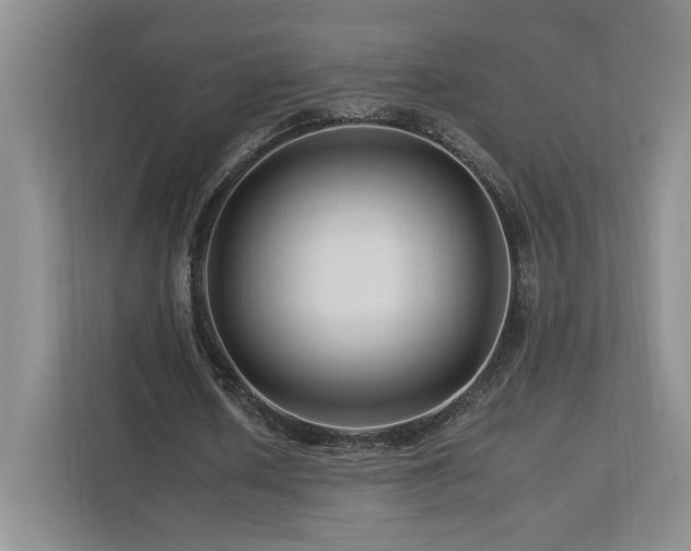 X0000112930626200908241301