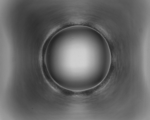 X0000112930630200908241301