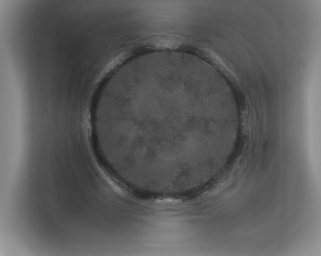 X0000112930634200908241301