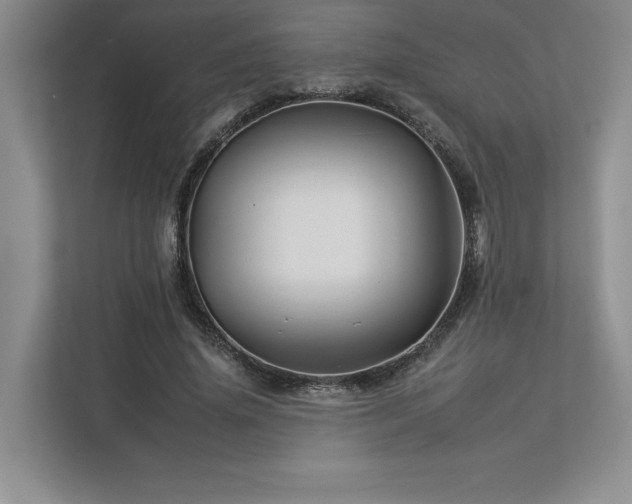 X0000112930636200908241301