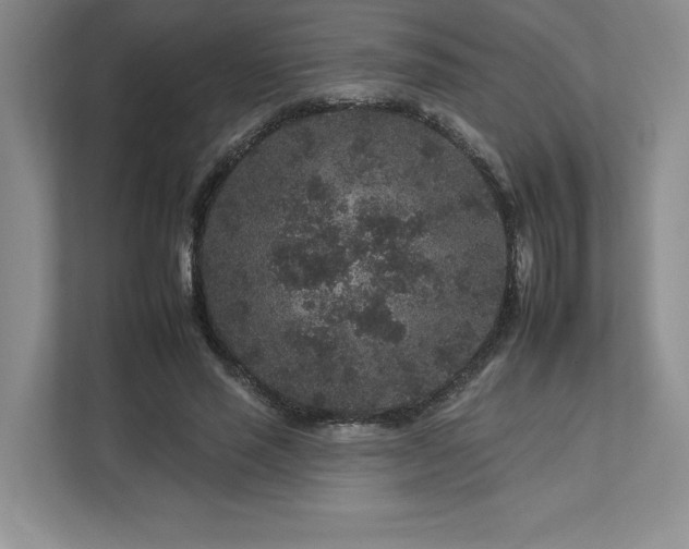 X0000112930637200908241301