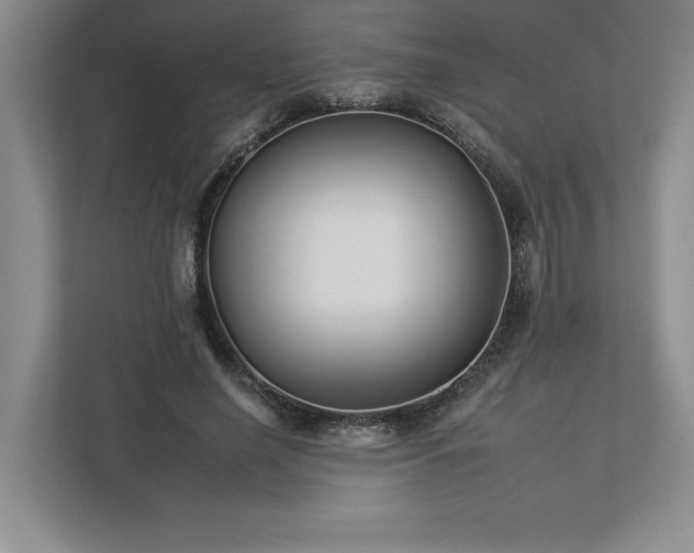 X0000112930638200908241301