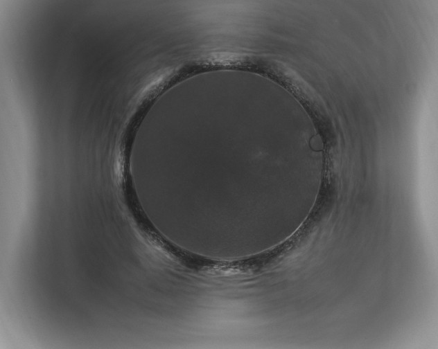 X0000112930640200908241301