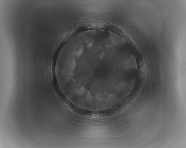 X0000112930641200908241301