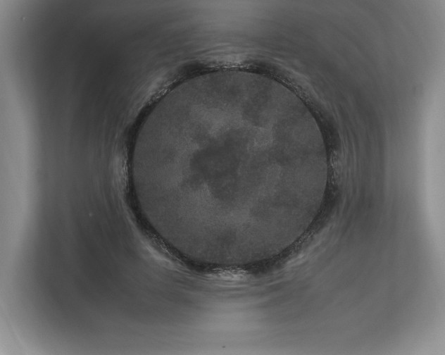 X0000112930642200908241301