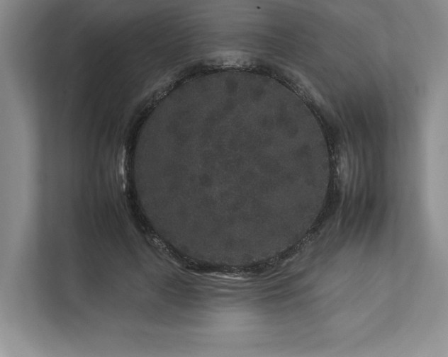 X0000112930643200908241301