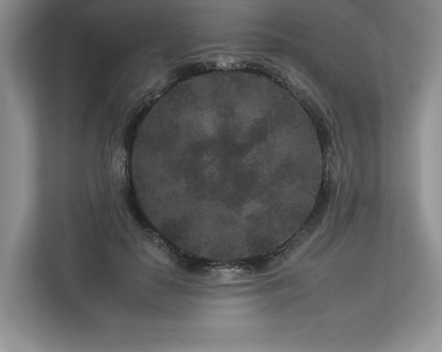 X0000112930650200908241301