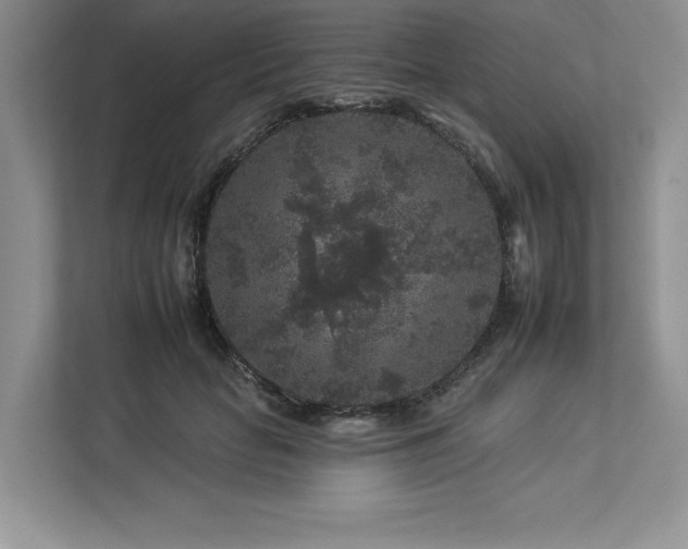 X0000112930653200908241301