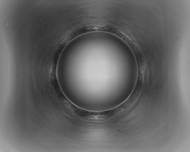 X0000112930657200908241301