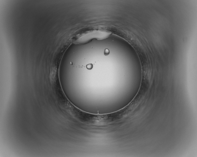 X0000112930660200908241301