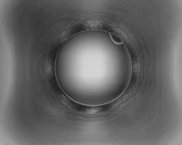 X0000112930662200908241301