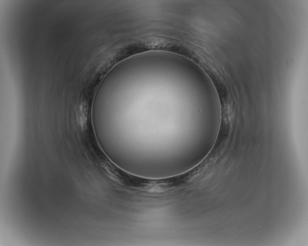 X0000112930664200908241301