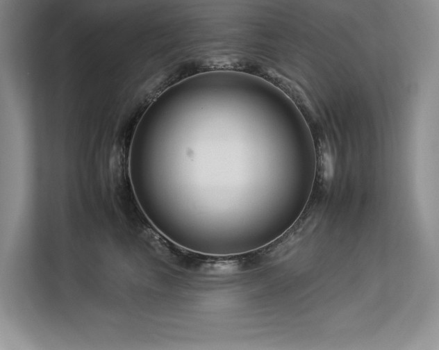 X0000112930665200908241301