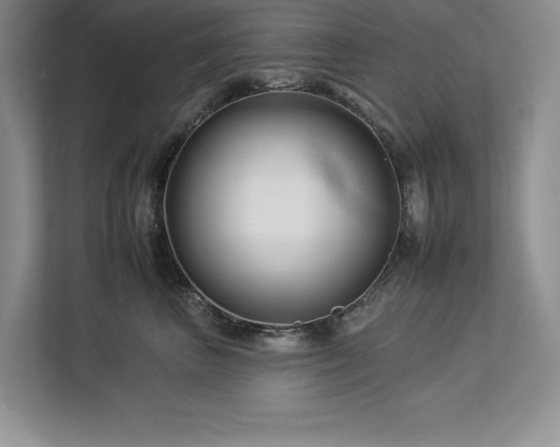 X0000112930667200908241301