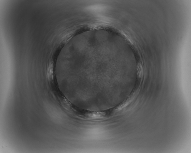 X0000112930670200908241301