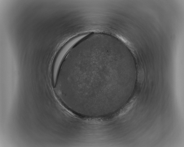 X0000112930673200908241301