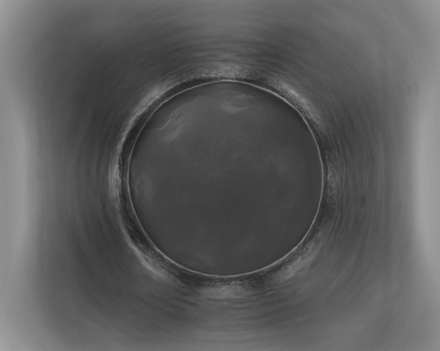 X0000112930674200908241301