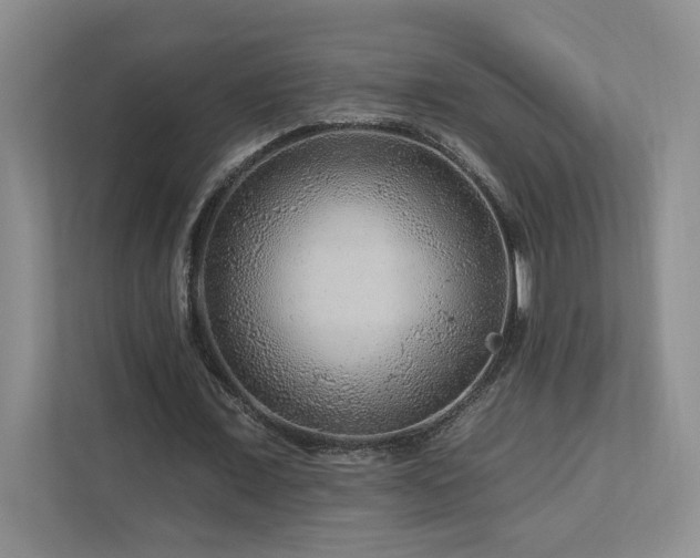 X0000112930675200908241301