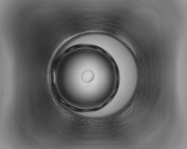 X0000112930676200908241301