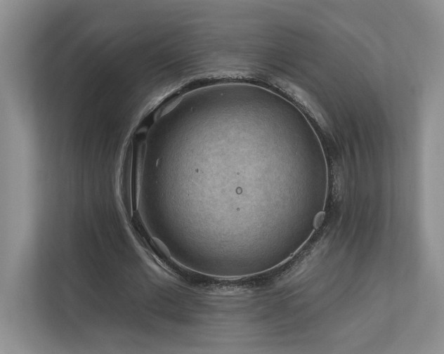 X0000112930677200908241301