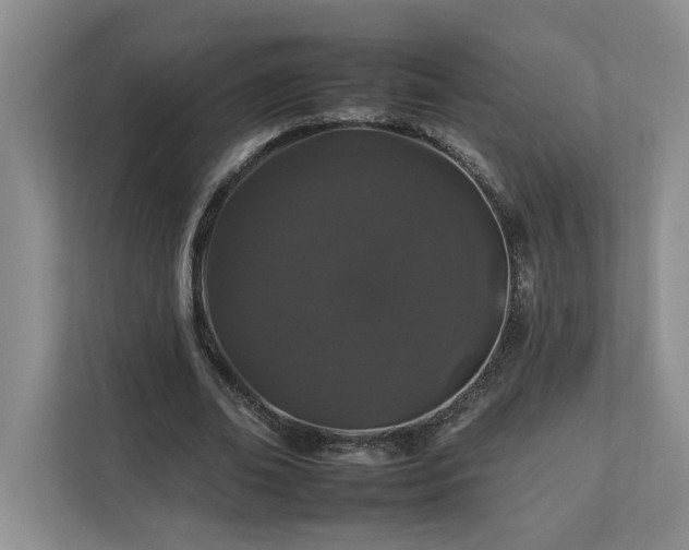 X0000112930678200908241301