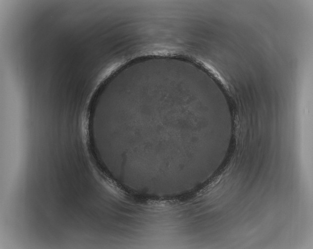 X0000112930679200908241301