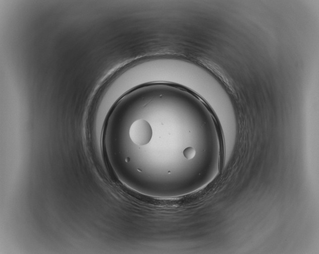 X0000112930680200908241301