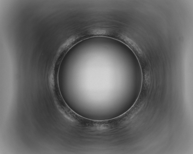 X0000112930682200908241301