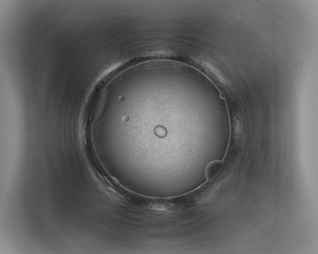 X0000112930684200908241301