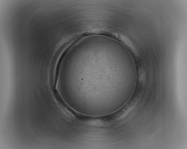 X0000112930685200908241301