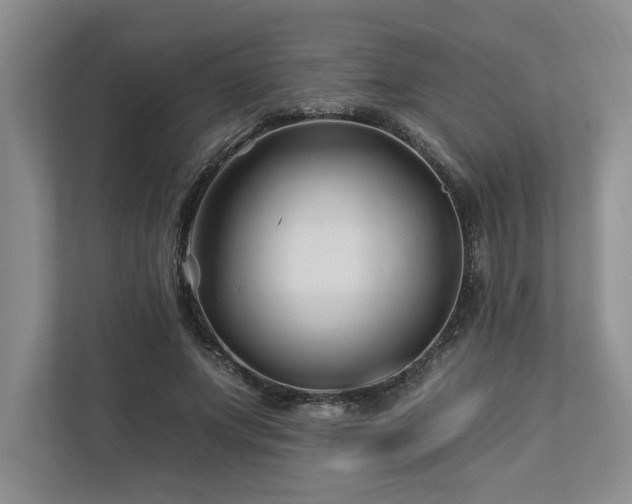 X0000112930687200908241301