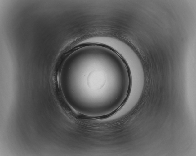 X0000112930688200908241301